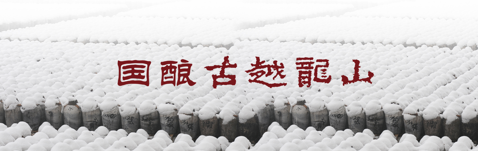 行业动态-Ag亚洲集团