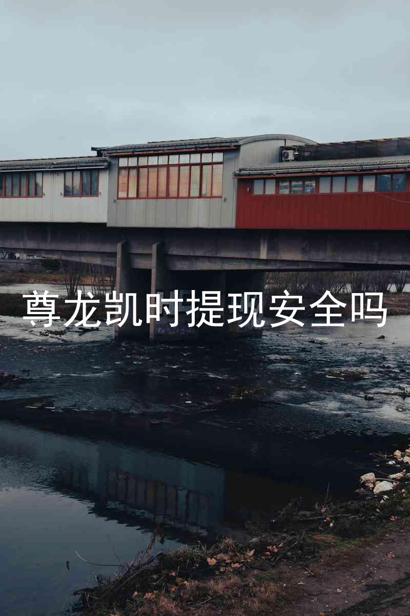尊龙凯时提现安全吗