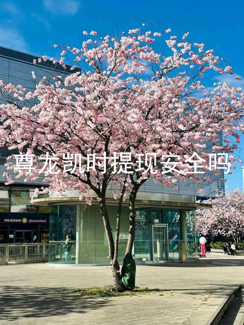 尊龙凯时提现安全吗